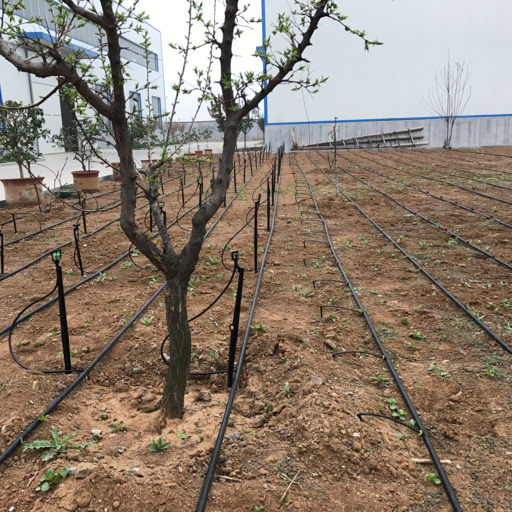 園林噴灌、滴灌、微噴