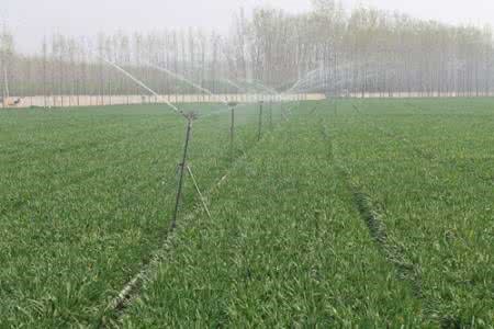 園林噴灌、滴灌、微噴